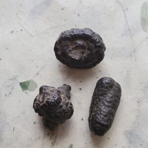 Rare Prophecy Stones from Egypt Set Of 3